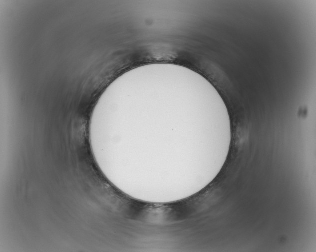 X0000113090321200909111034