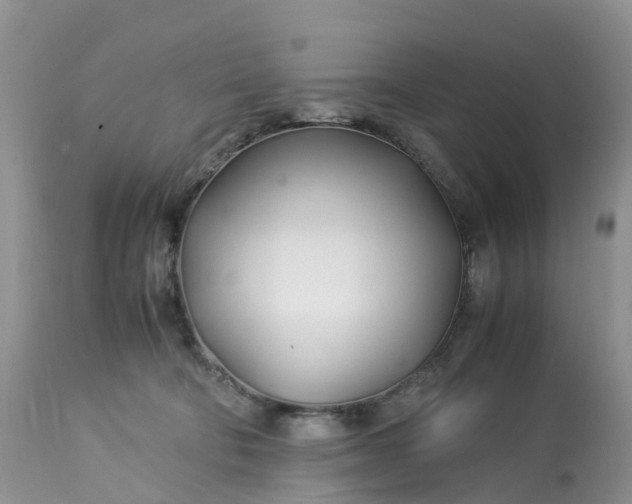 X0000113090322200909111034