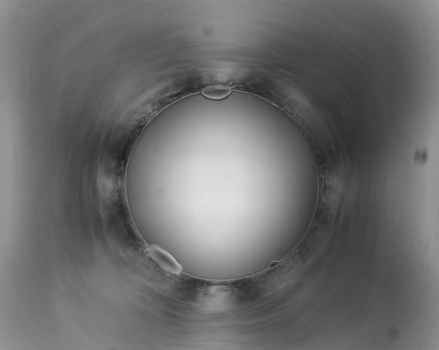 X0000113090324200909111034