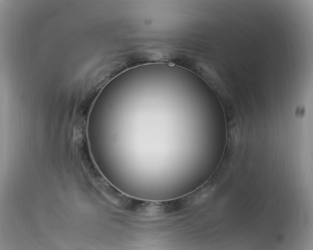 X0000113090325200909111034