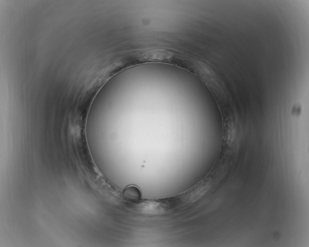 X0000113090326200909111034