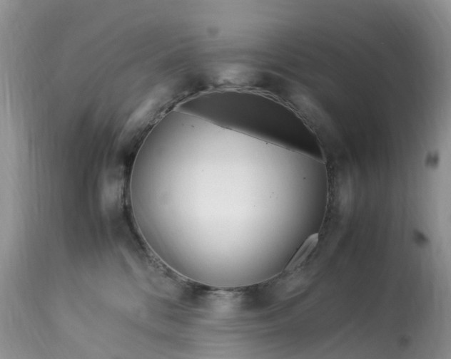 X0000113090328200909111034