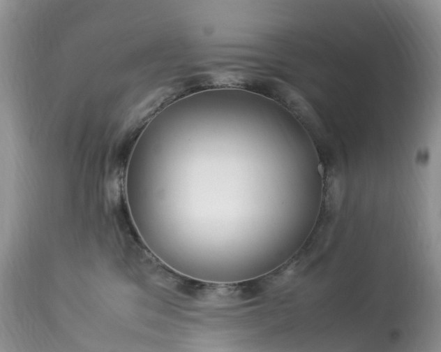 X0000113090329200909111034