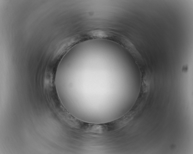 X0000113090330200909111034