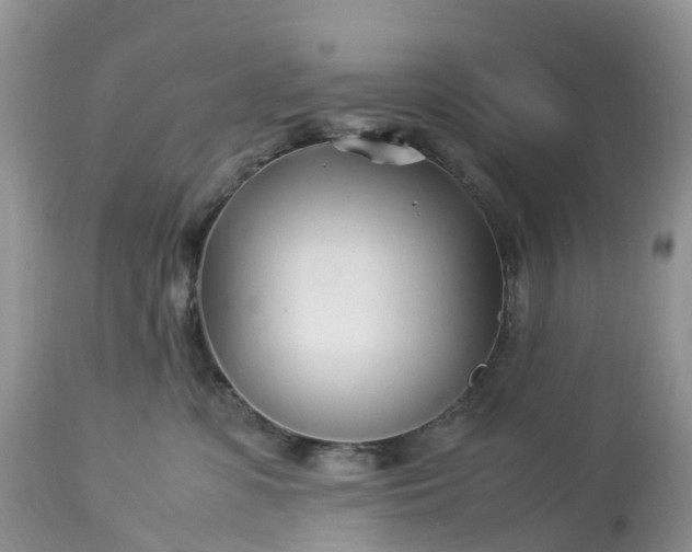 X0000113090331200909111033