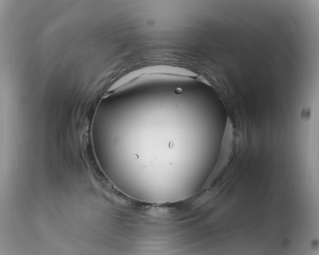 X0000113090332200909111033