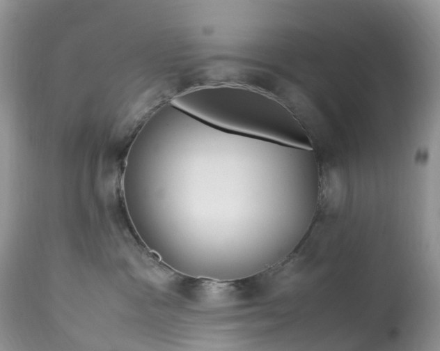 X0000113090333200909111033