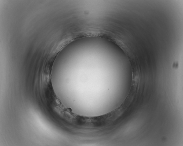 X0000113090334200909111033