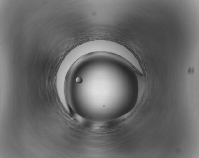 X0000113090336200909111033