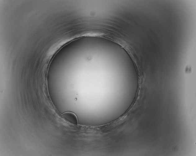 X0000113090337200909111033