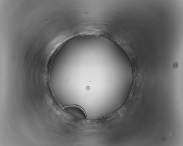 X0000113090338200909111033