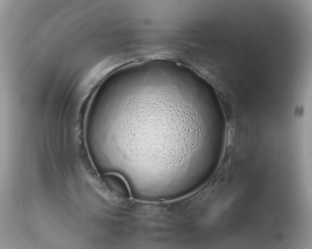 X0000113090339200909111033