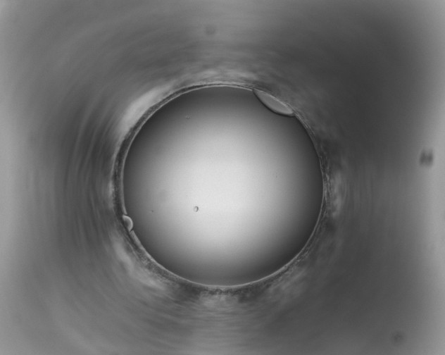 X0000113090340200909111033