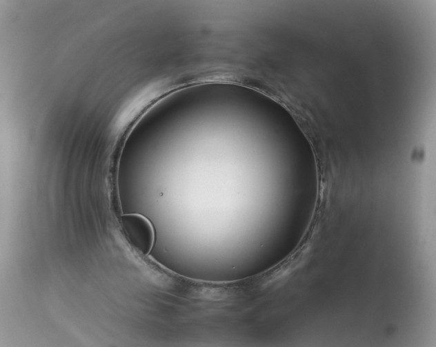 X0000113090341200909111033