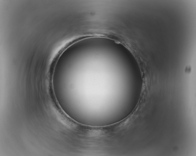 X0000113090342200909111033
