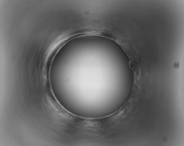 X0000113090343200909111033