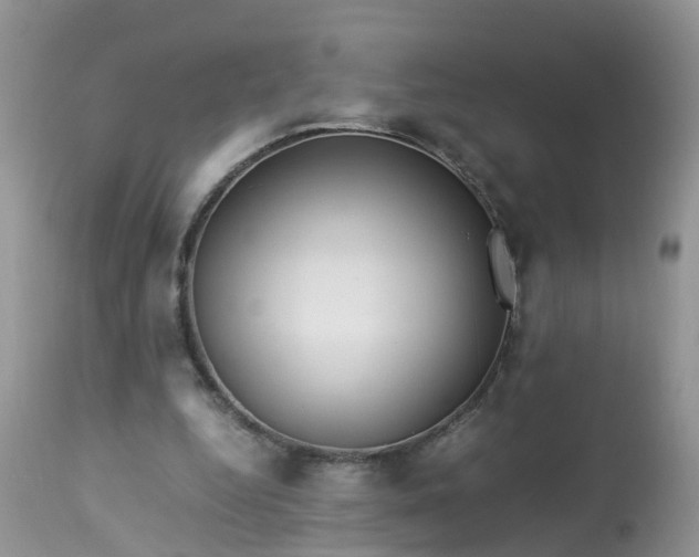 X0000113090344200909111033