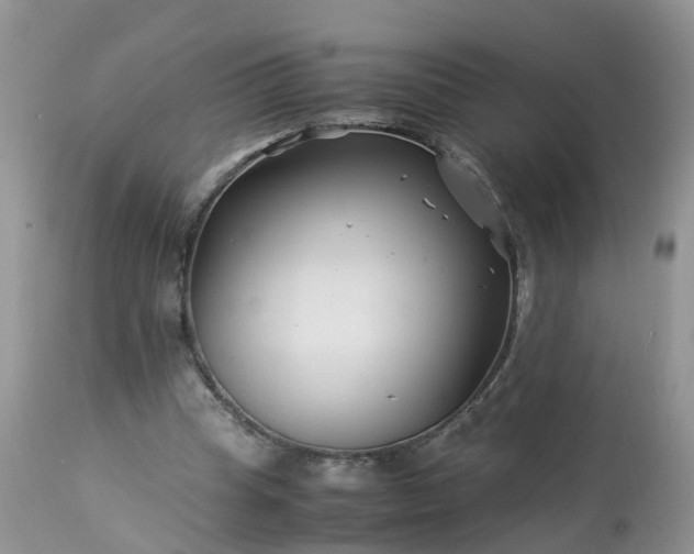 X0000113090345200909111033