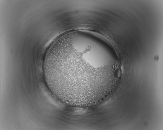X0000113090347200909111033