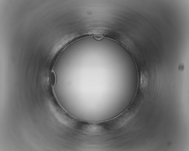 X0000113090348200909111033
