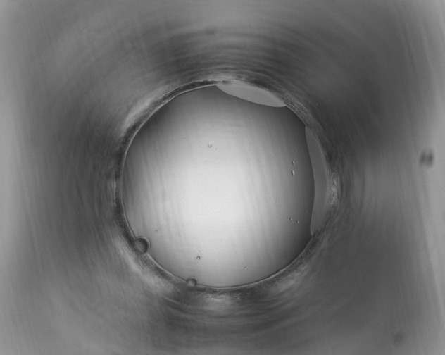 X0000113090349200909111033