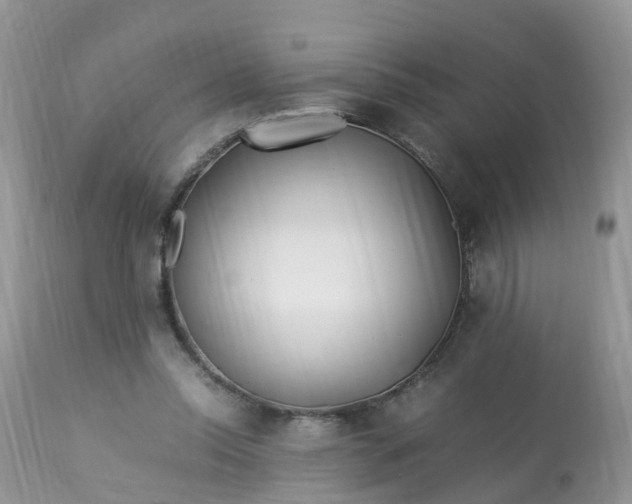 X0000113090350200909111033