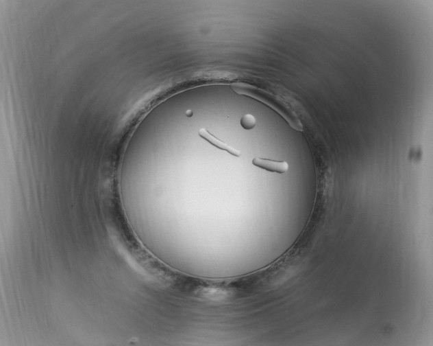X0000113090352200909111033