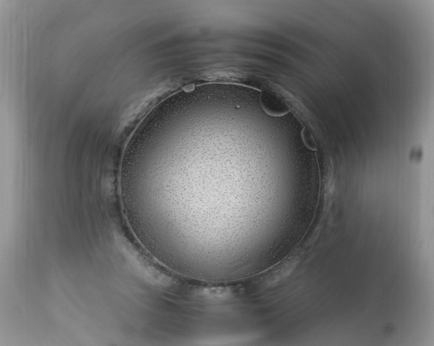 X0000113090353200909111033