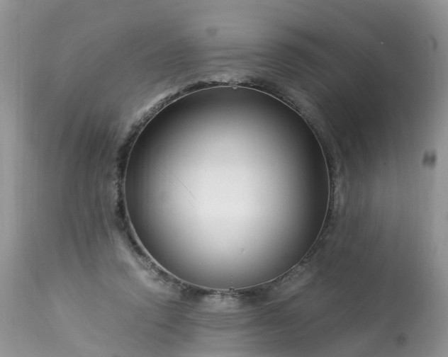 X0000113090354200909111033