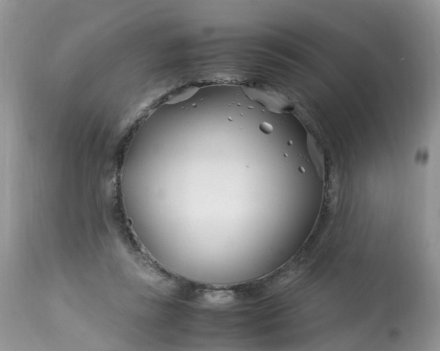 X0000113090355200909111033