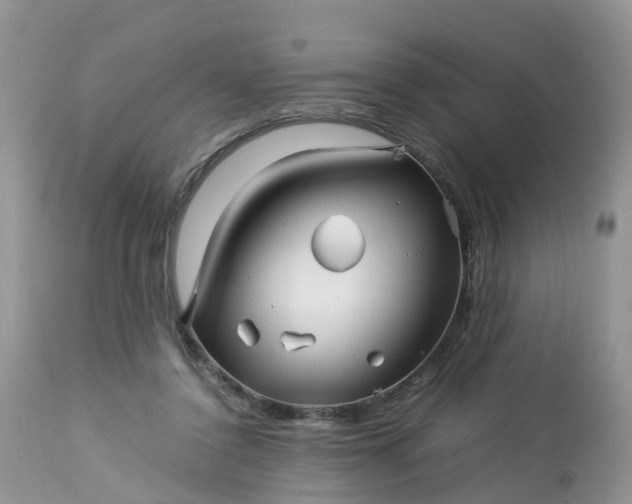 X0000113090356200909111033