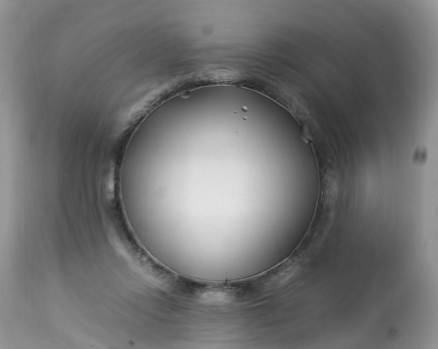 X0000113090358200909111033