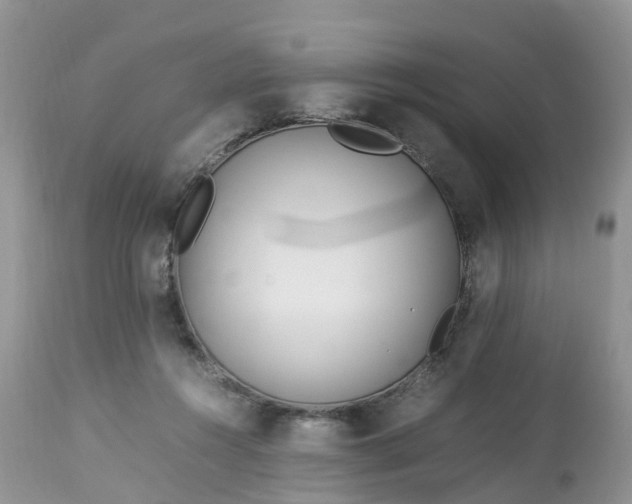 X0000113090360200909111033