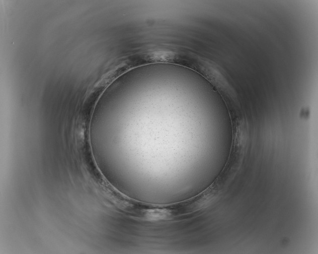 X0000113090363200909111033