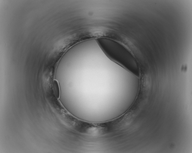 X0000113090364200909111033