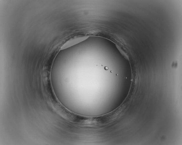 X0000113090366200909111033