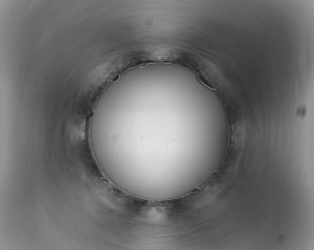X0000113090368200909111033