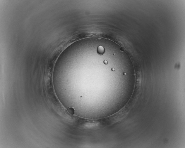 X0000113090369200909111033