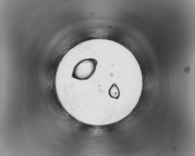 X0000113090370200909111033