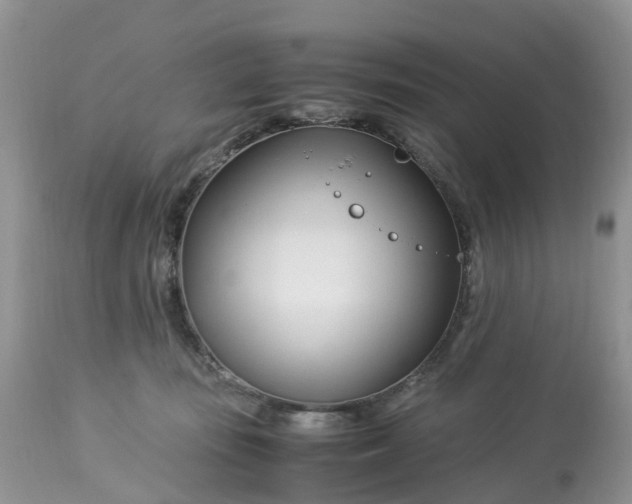 X0000113090371200909111033