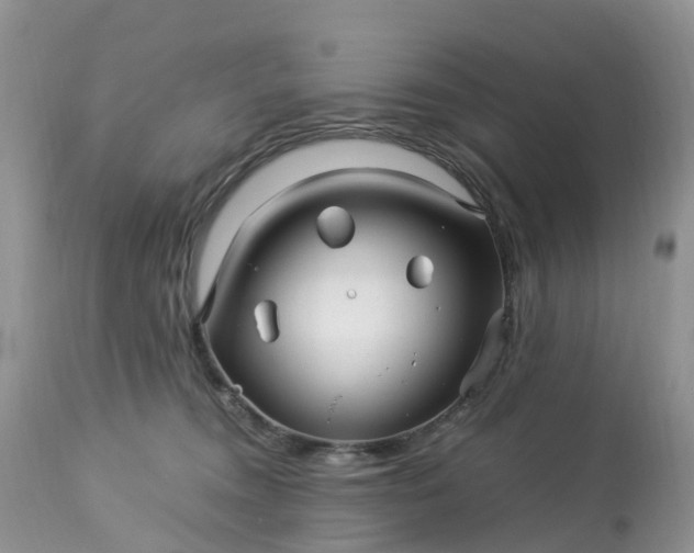 X0000113090372200909111033