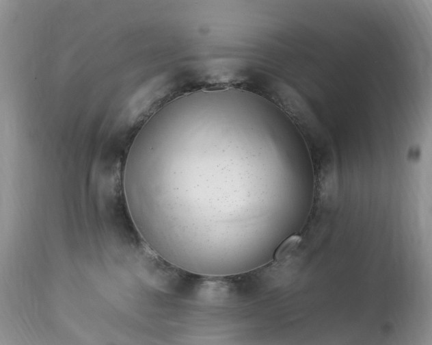 X0000113090376200909111033