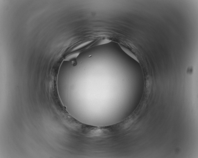 X0000113090379200909111033