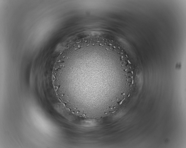 X0000113090381200909111033