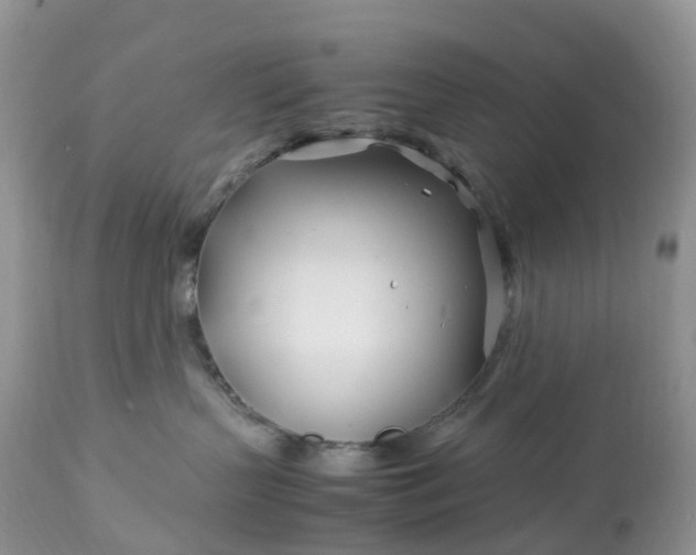 X0000113090383200909111033