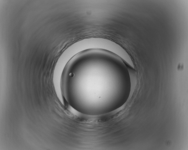 X0000113090384200909111033