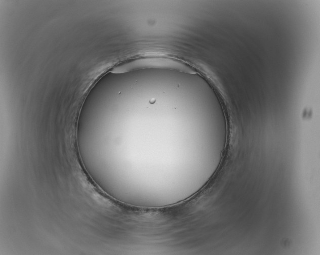 X0000113090385200909111033