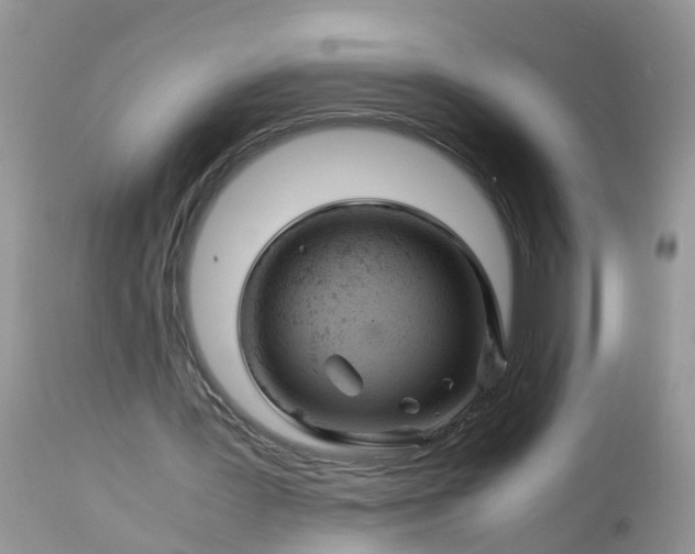 X0000113090387200909111033