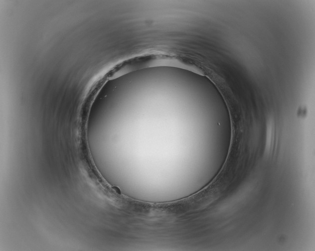 X0000113090388200909111033