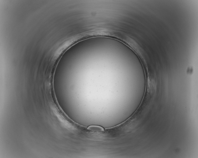 X0000113090389200909111033